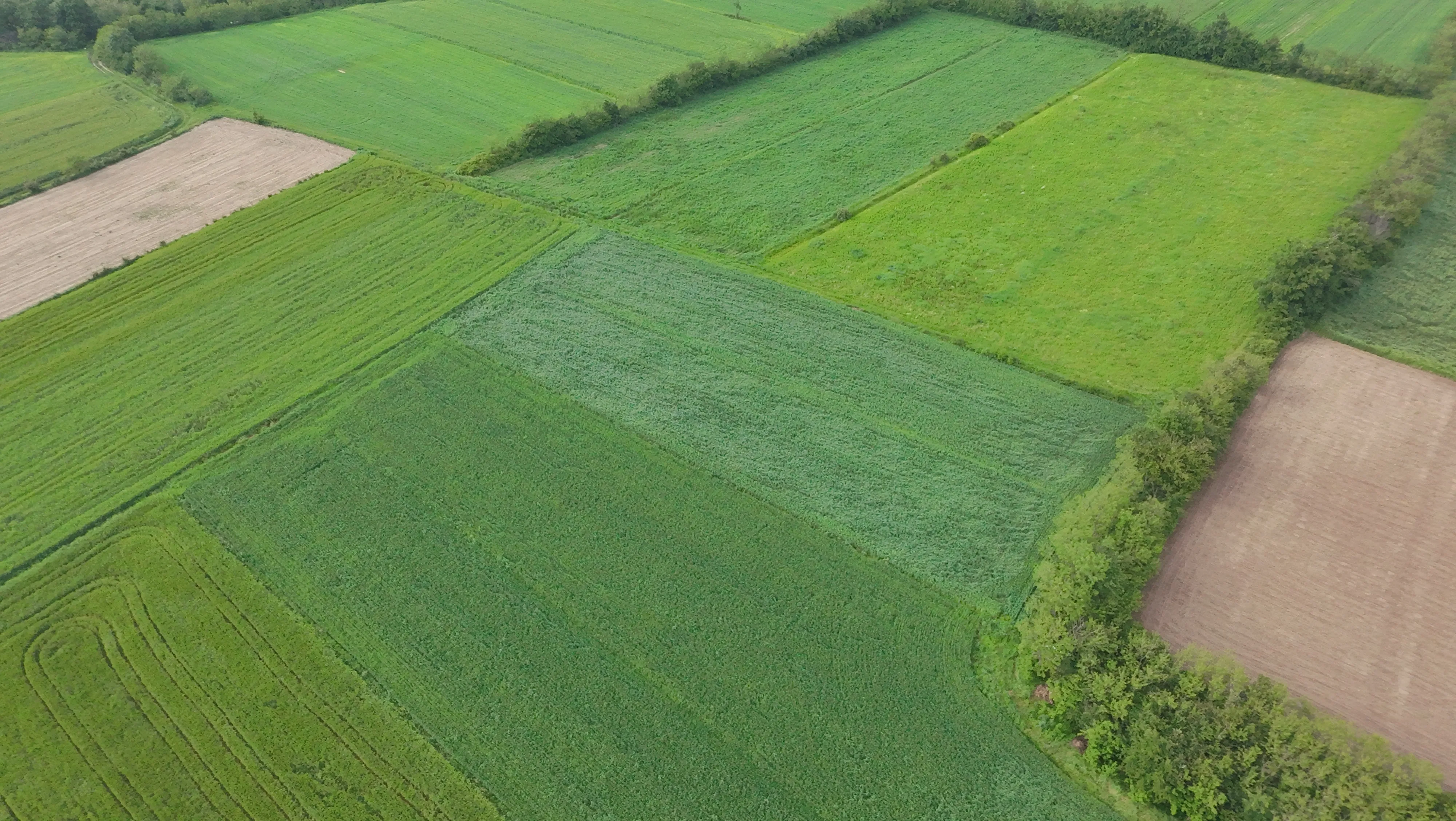 Naslovna slika za album opste